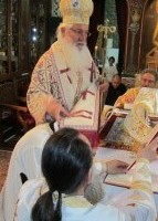 ΧΕΙΡΟΤΟΝΙΑ