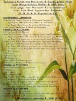 Φοιτητικό 2013