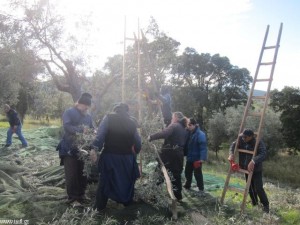 smallIMG_0456