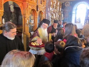 small_IMG_1549