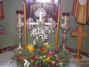 small_IMG_1635