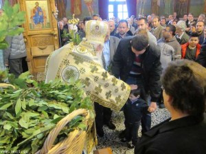 small_IMG_2161