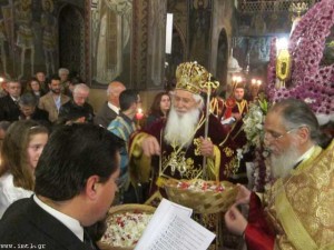 small_IMG_2522