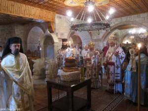 small_IMG_4319
