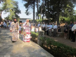 small_IMG_5385