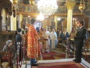 small_IMG_7450