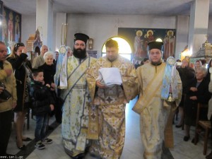 small_IMG_7502