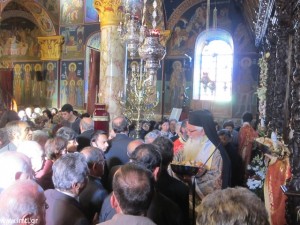 IMG_0124_small