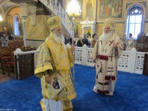 small_IMG_0398